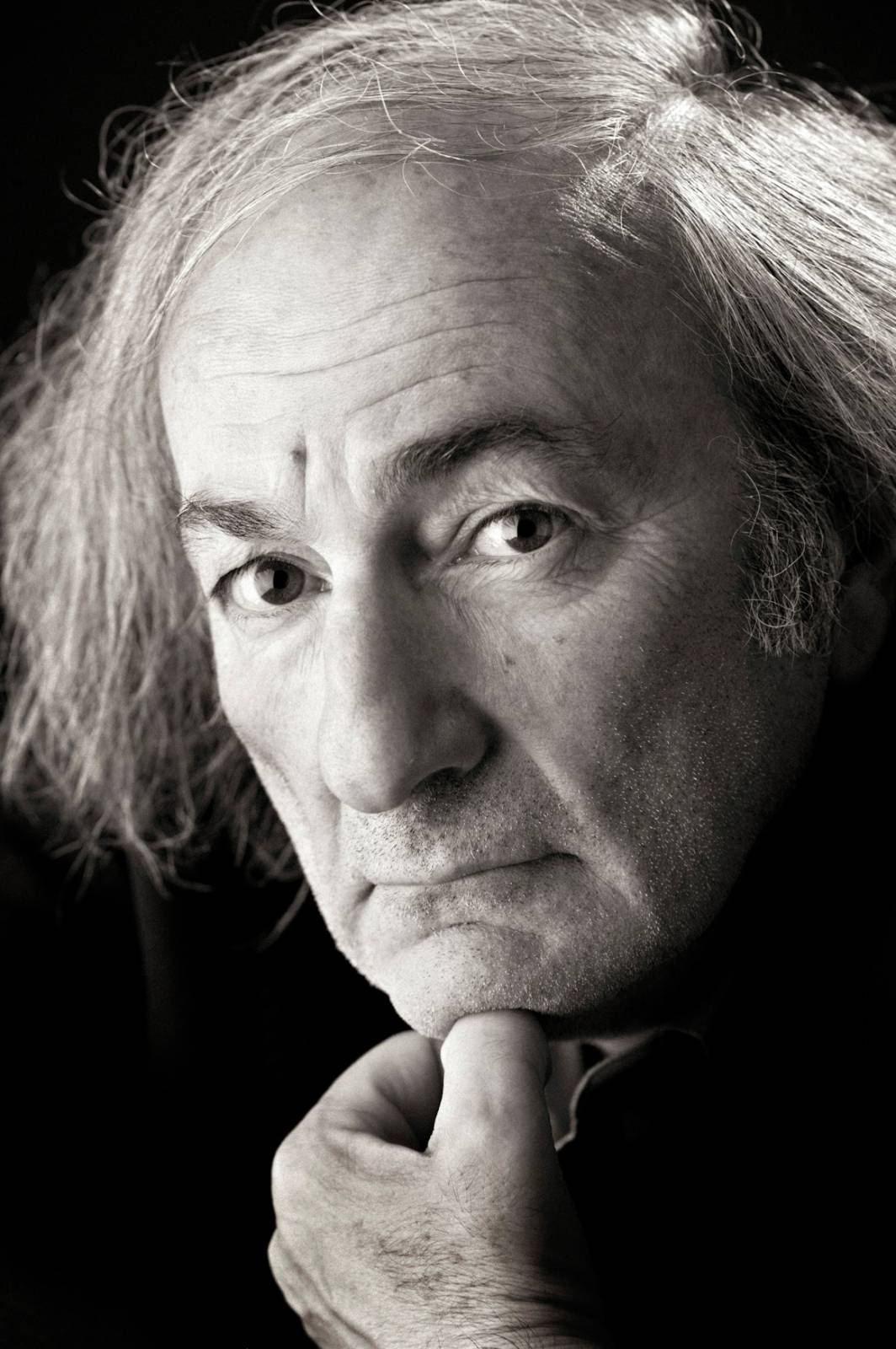 Maurizio Tabani